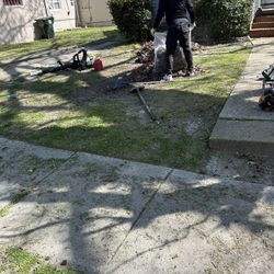 Lawn 