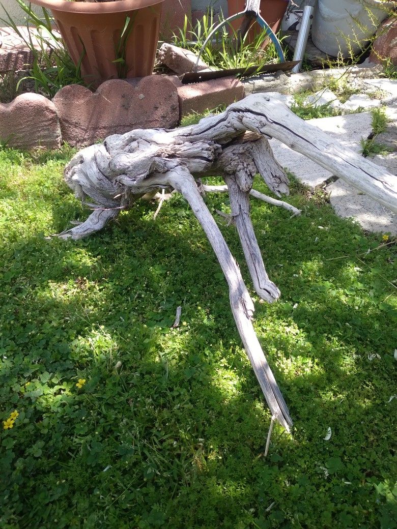 Natural Driftwood For Aquariums Terrariums