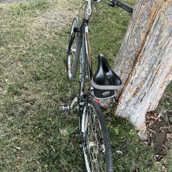 Schwinn Bike Adult 