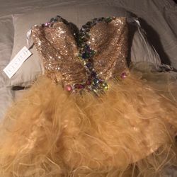 Gold Tul Dress