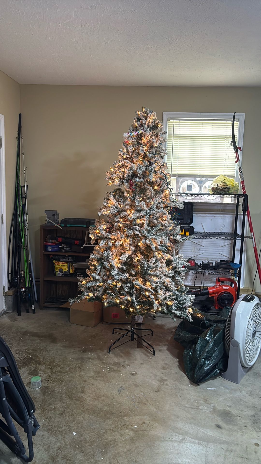 Tree