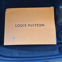Louis vitton shoe