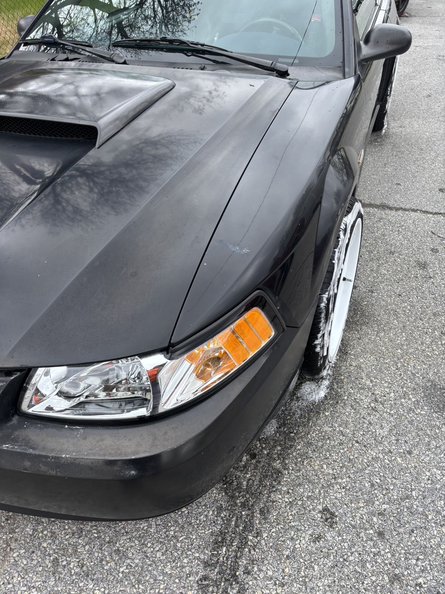 2003 Ford Mustang