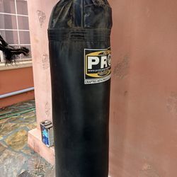 Punching Bag