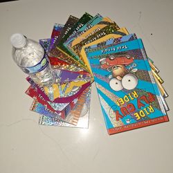 Entire Fly Guy Collection Set