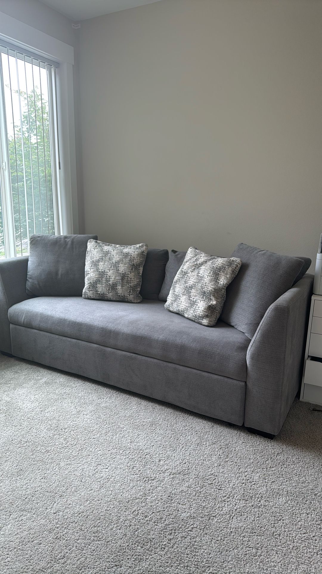Costco Sofa
