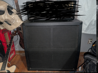 Randall 4x12 guitar cabinet