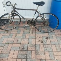 Vintage schwinn 10 speed sale