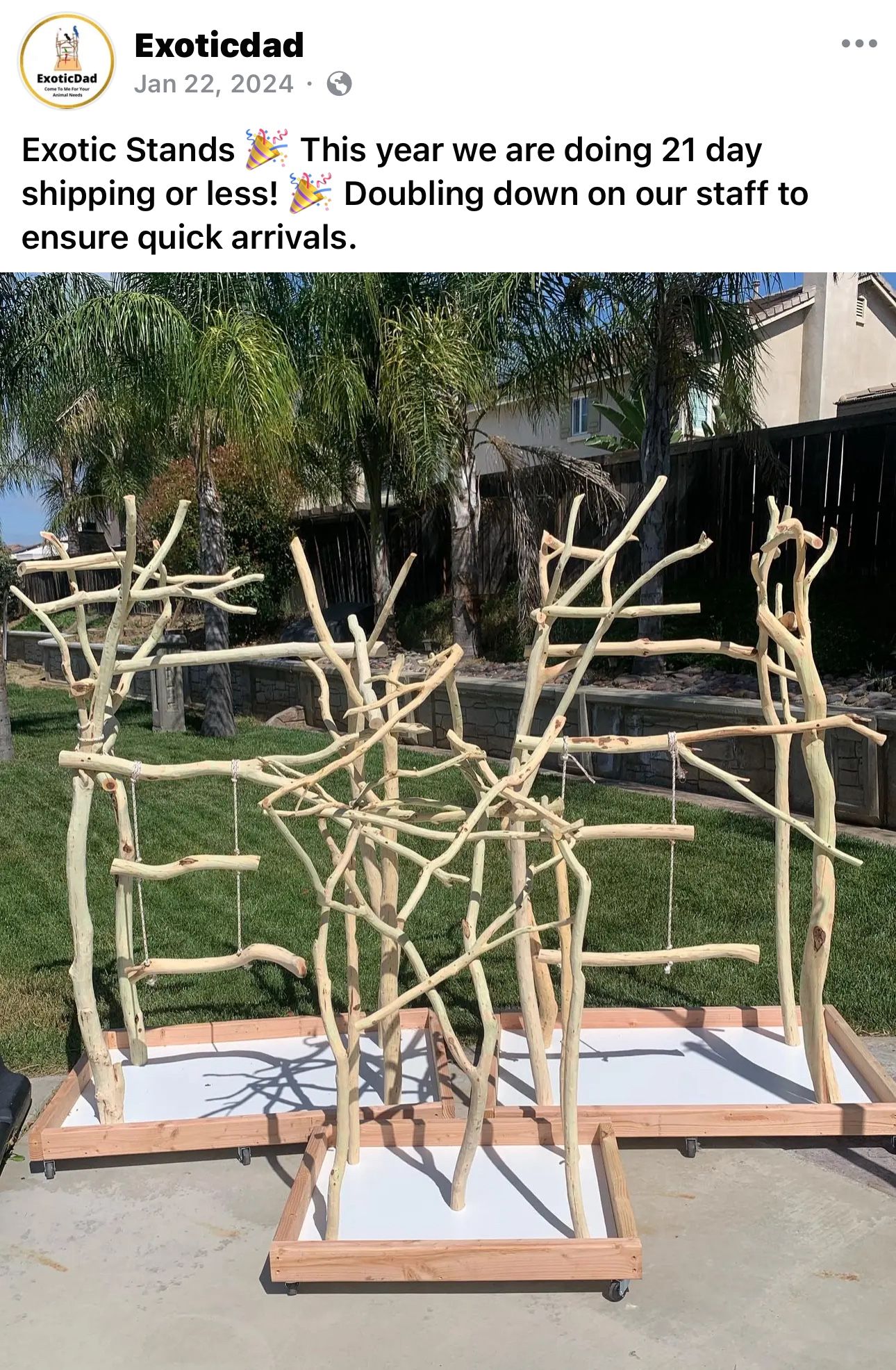 Brand New Exotic dad Custom Made Bird Stand