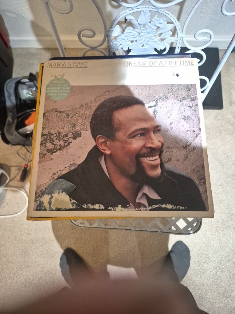 MARVIN GAYE DREAM OF A LIFETIME