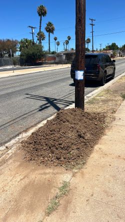 FREE fill dirt easy street access