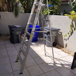 8' Aluminum Ladder