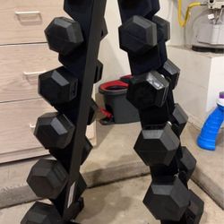 New Cactus 5-30 LB Dumbbell Sets +  and Installation