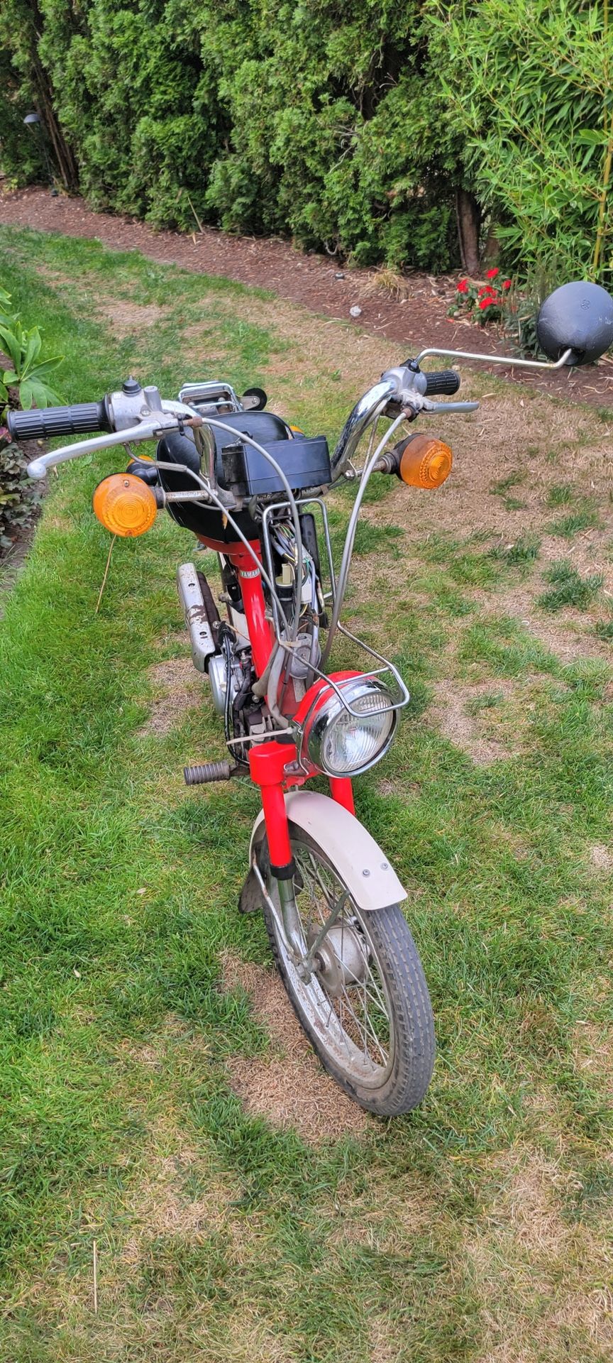 1980 Yamaha Qt50