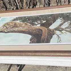Alan Sakhavarz Hand Signed Numbered 71/550 Limited Edition Out On A Limb Cougar 1990