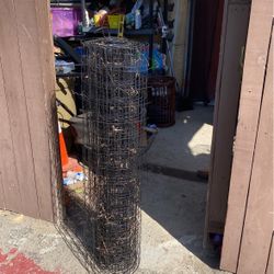Chicken Wire 