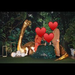 Dinosaur Chair Party 