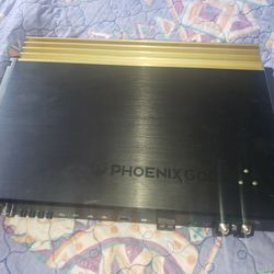 Phoenix Gold Sx2 600.1 With Bass Knob