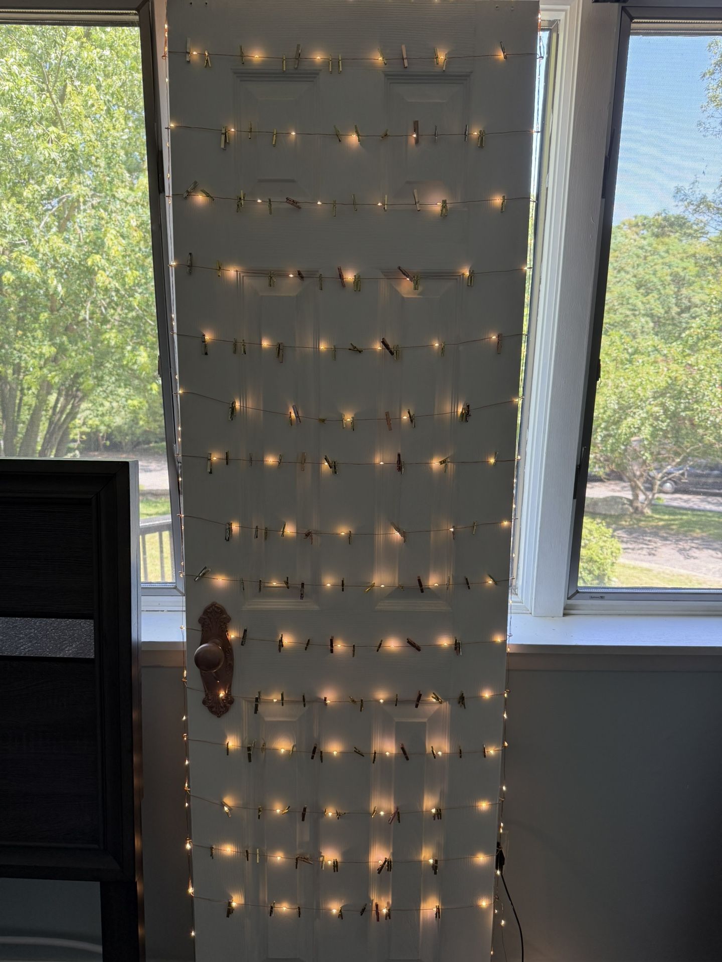 Party Favor Door 