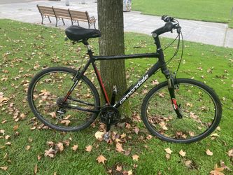 Cannondale Hybrid Bike - Jumbo Frame