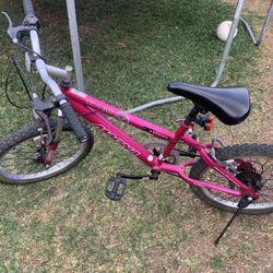 20” Great Divine Magna Bike With Tire Lights