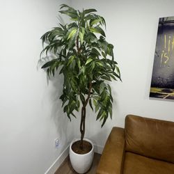 Fake Plants/ Decorative 