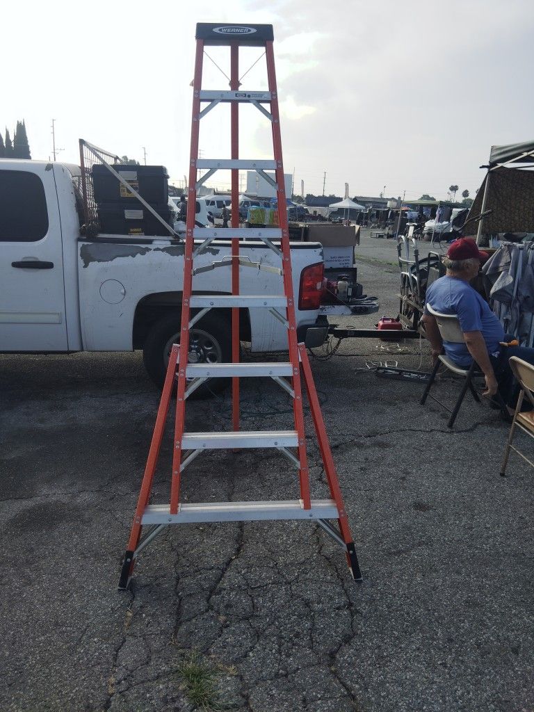 Werner Ladder 