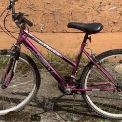 Next Elevation Mountain Bike