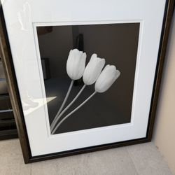 Black and White Tulip Decorative Wall Art
