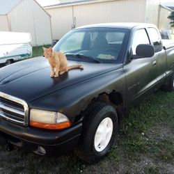 1998 Dodge Dakota