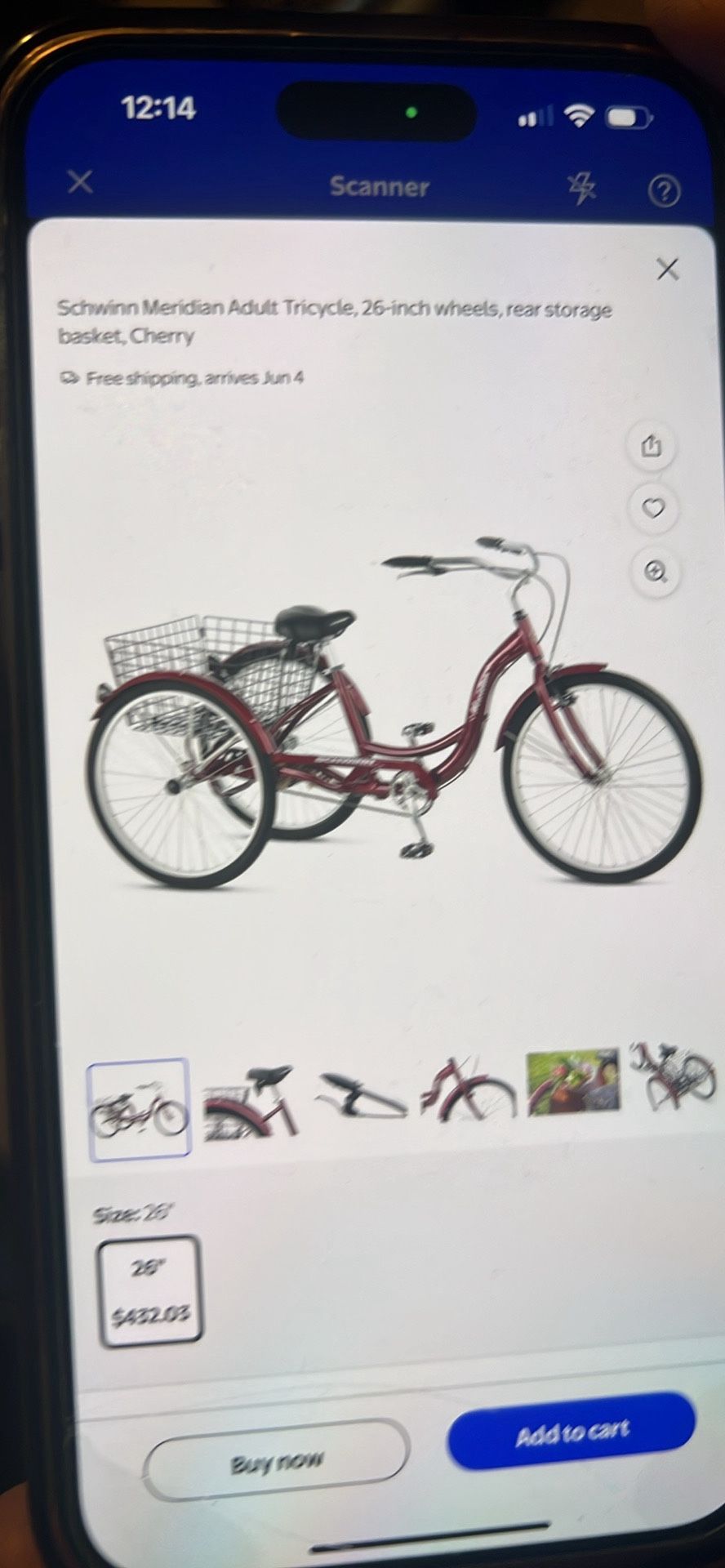 schwinn meridian adult tricycle