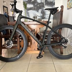 Trek FX Sport SL 5 Full Carbon Bike (upgraded) Size Medium 2025