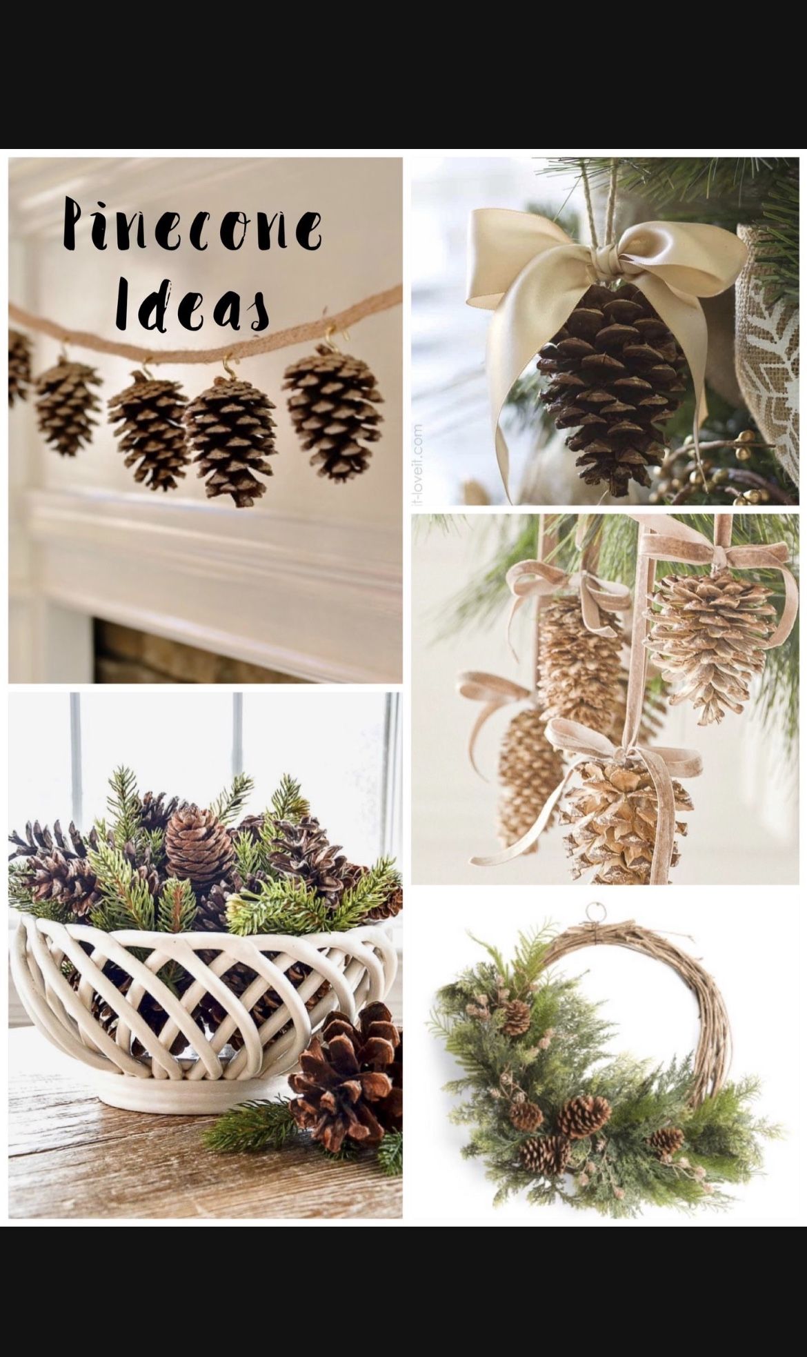 Pinecones Woodland Decorative Wedding Winter Christmas Decor Decorations