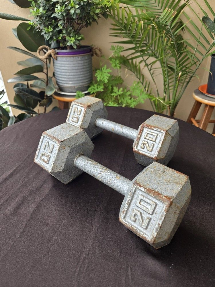Pair of 20 lb Hex Dumbbells Solid Iron – Gym Fitness Weights