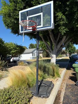 Basketball hoop FREE