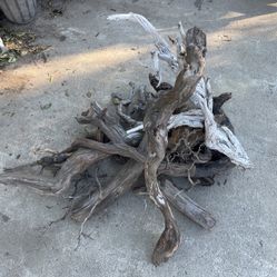 Wood