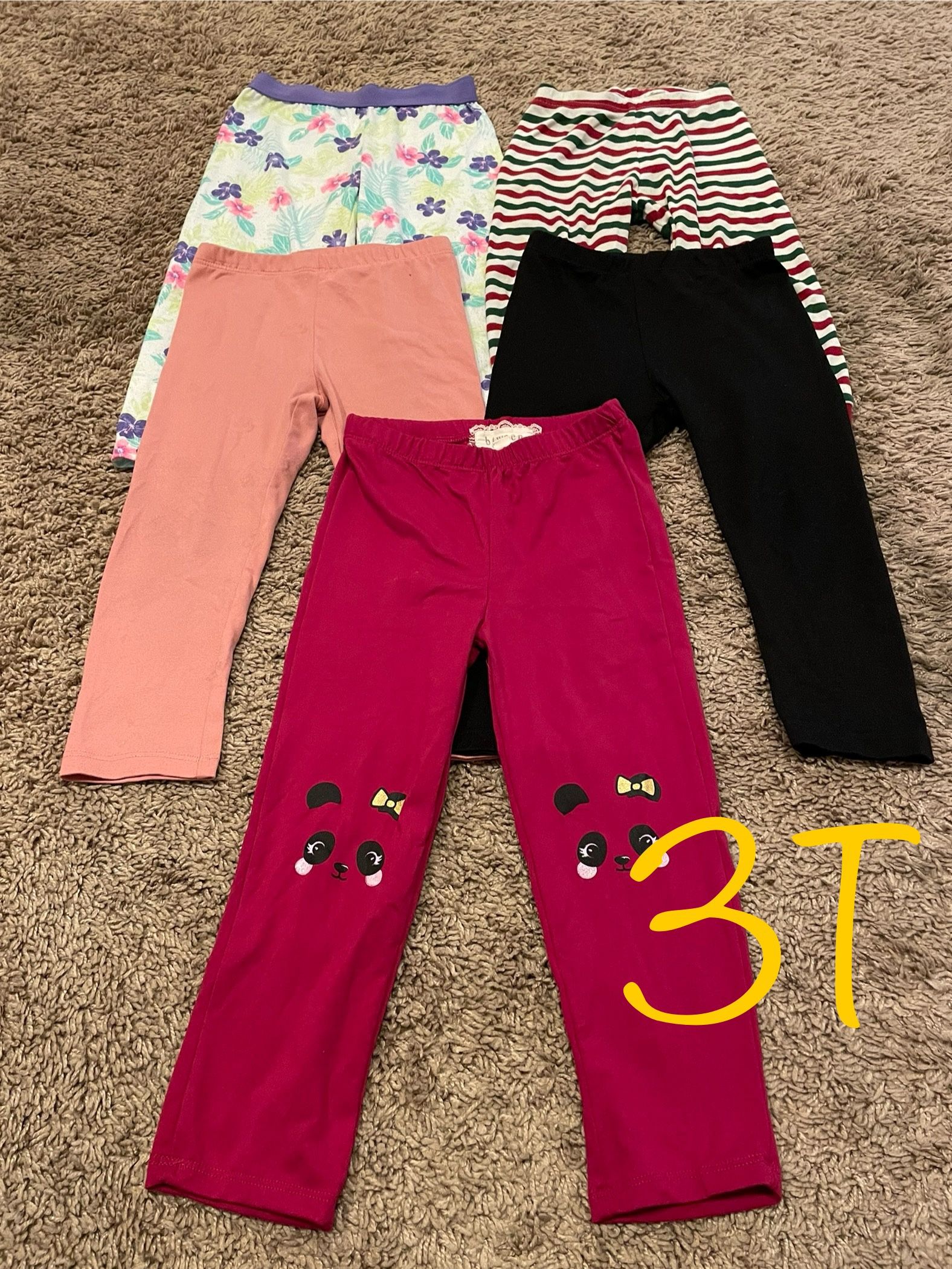 Winter/fall Girl Pants Clothes Size 3T