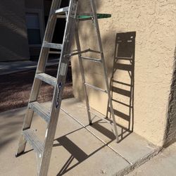 6 Foot ladder