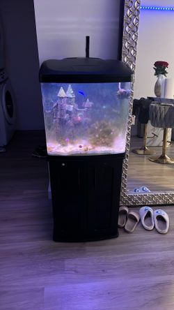Active Tank Re Home