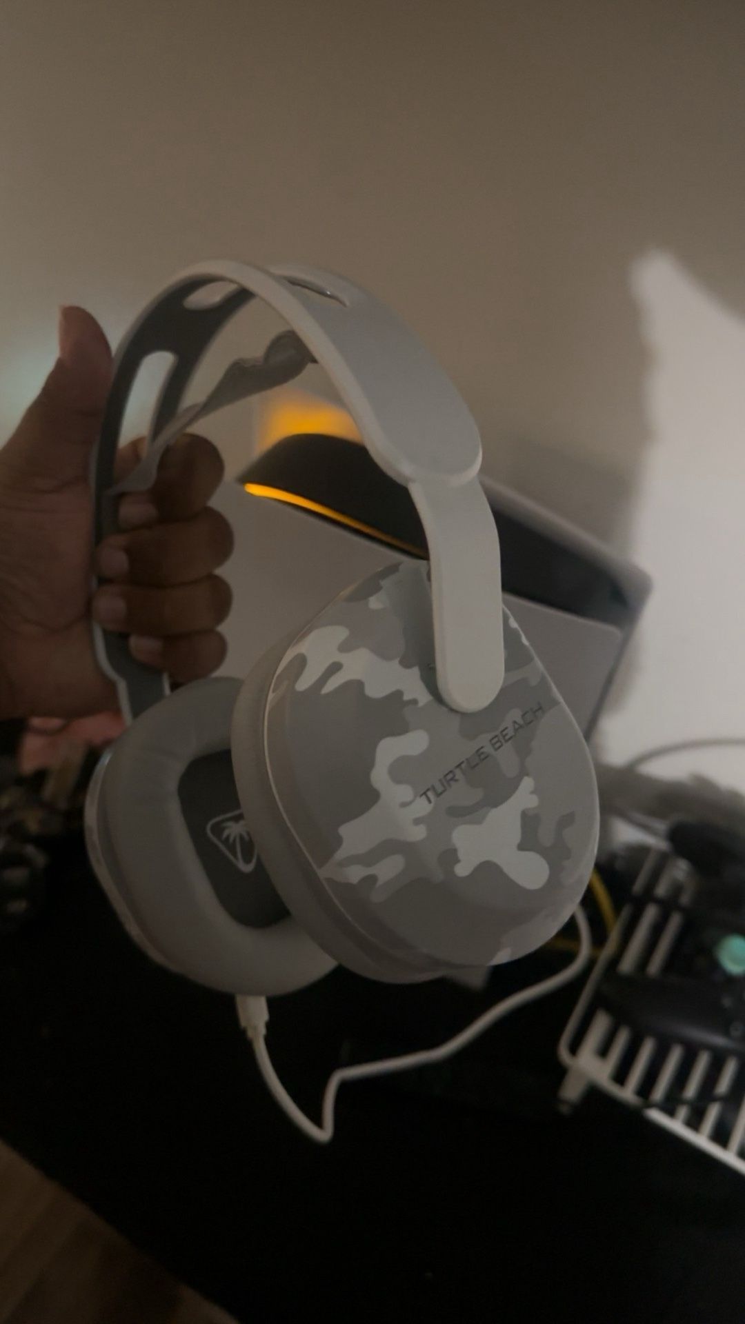 Turtle Branch Wireless Headset