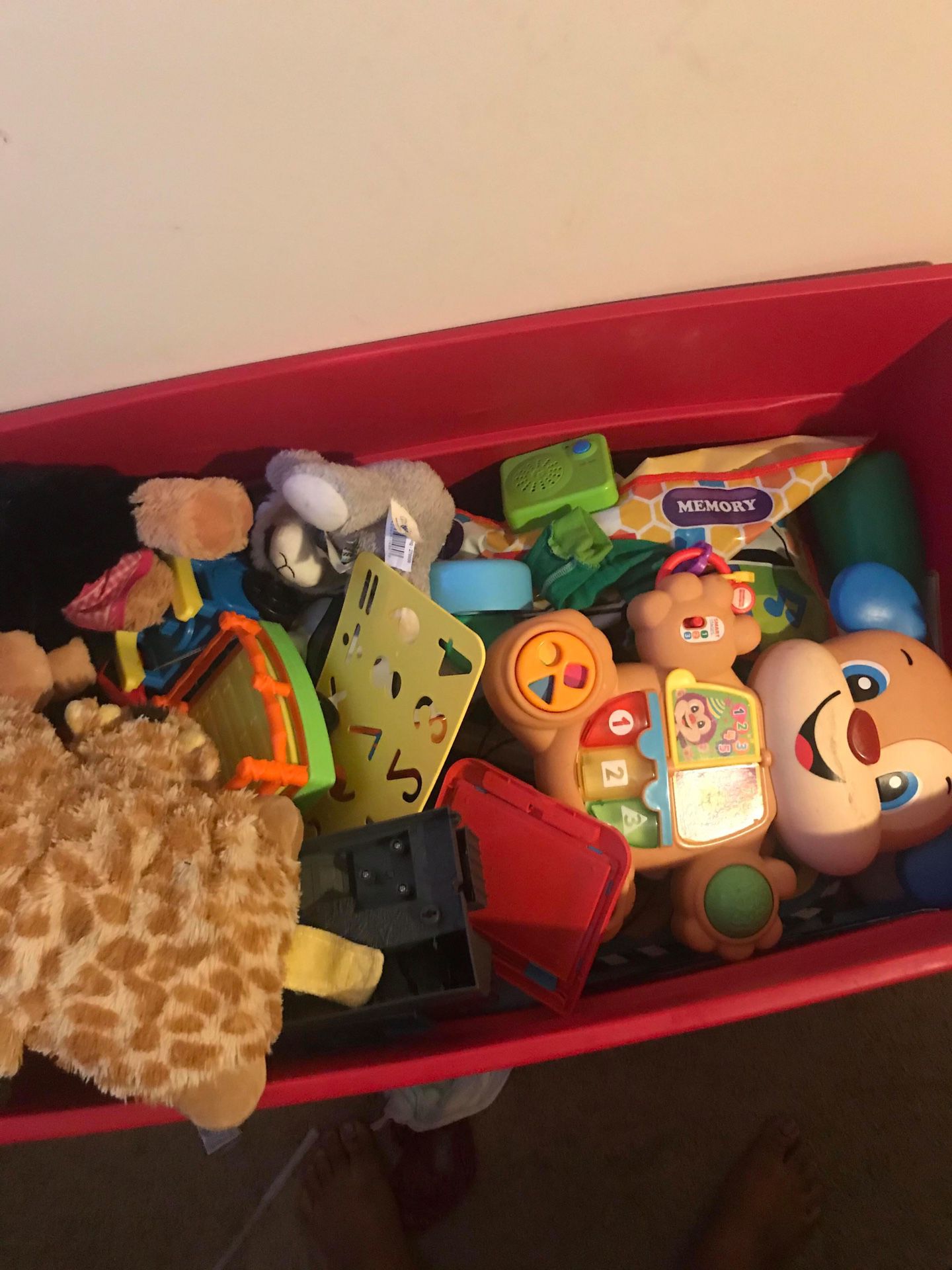 Tote full of toys