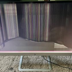 Broken HP Monitor