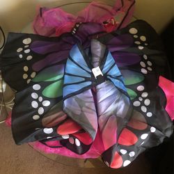 Butterfly Costume