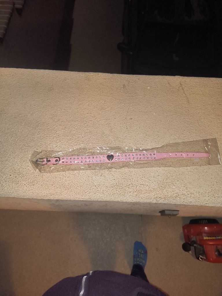 Dog Collar