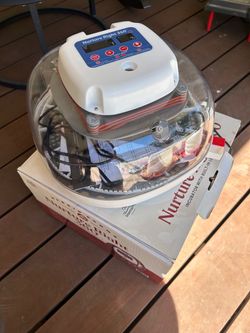 Egg Incubator