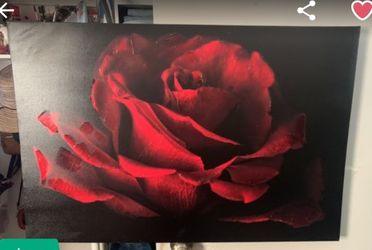 Nice Canvas Oil Pastel $30 For Both .