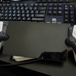 Playstation Portal