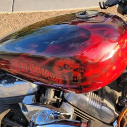 2015 Harley Sportster 48