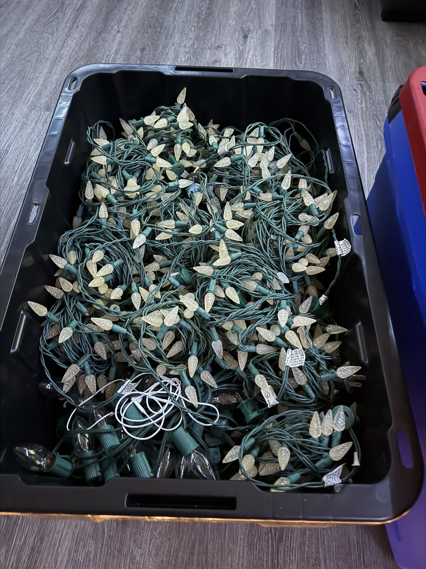 Christmas Lights /Lucez De Navidad $10/$10/$7 Hablo Espanol