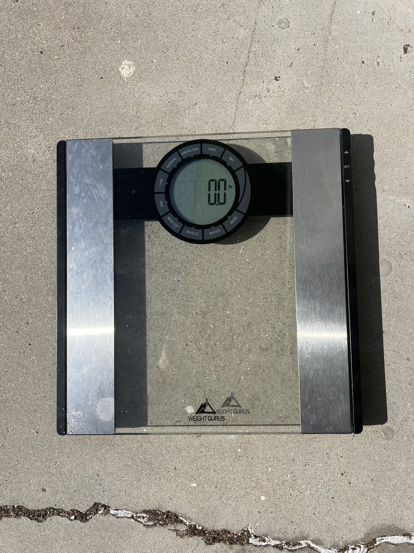 Body Fat/bone/water/ Lean Mass Scale